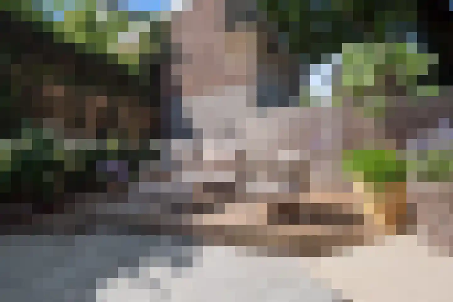Kruisbroedershof 37 's-Hertogenbosch thumbnail 45