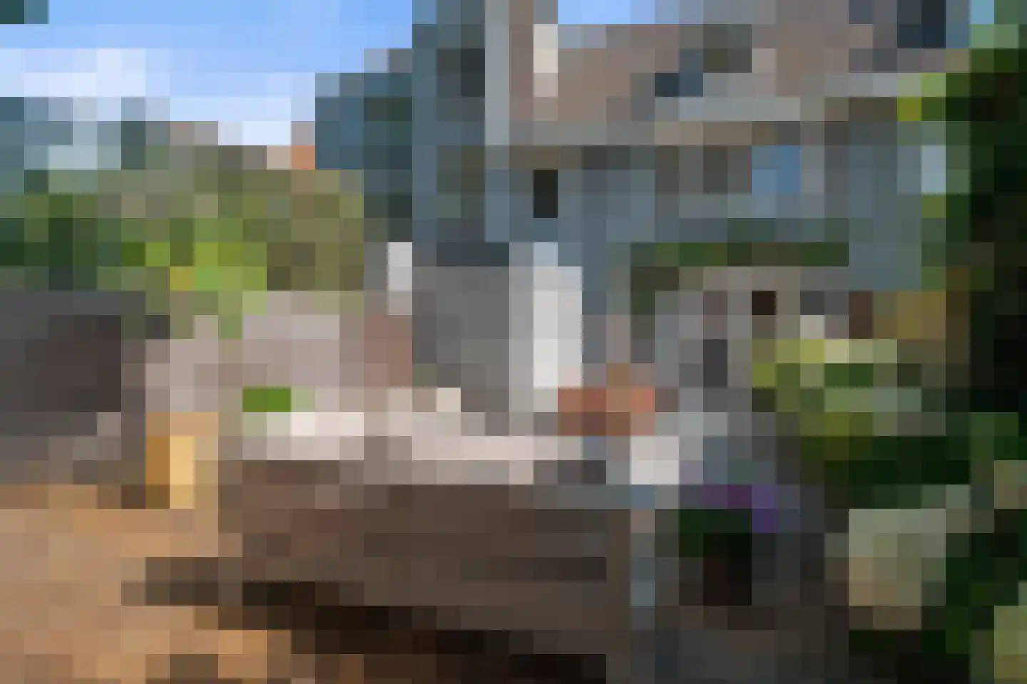 Kruisbroedershof 37 's-Hertogenbosch thumbnail 47