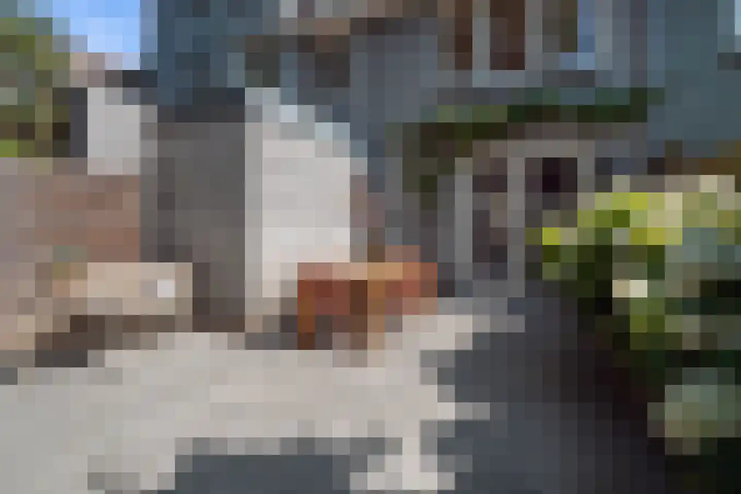 Kruisbroedershof 37 's-Hertogenbosch thumbnail 48