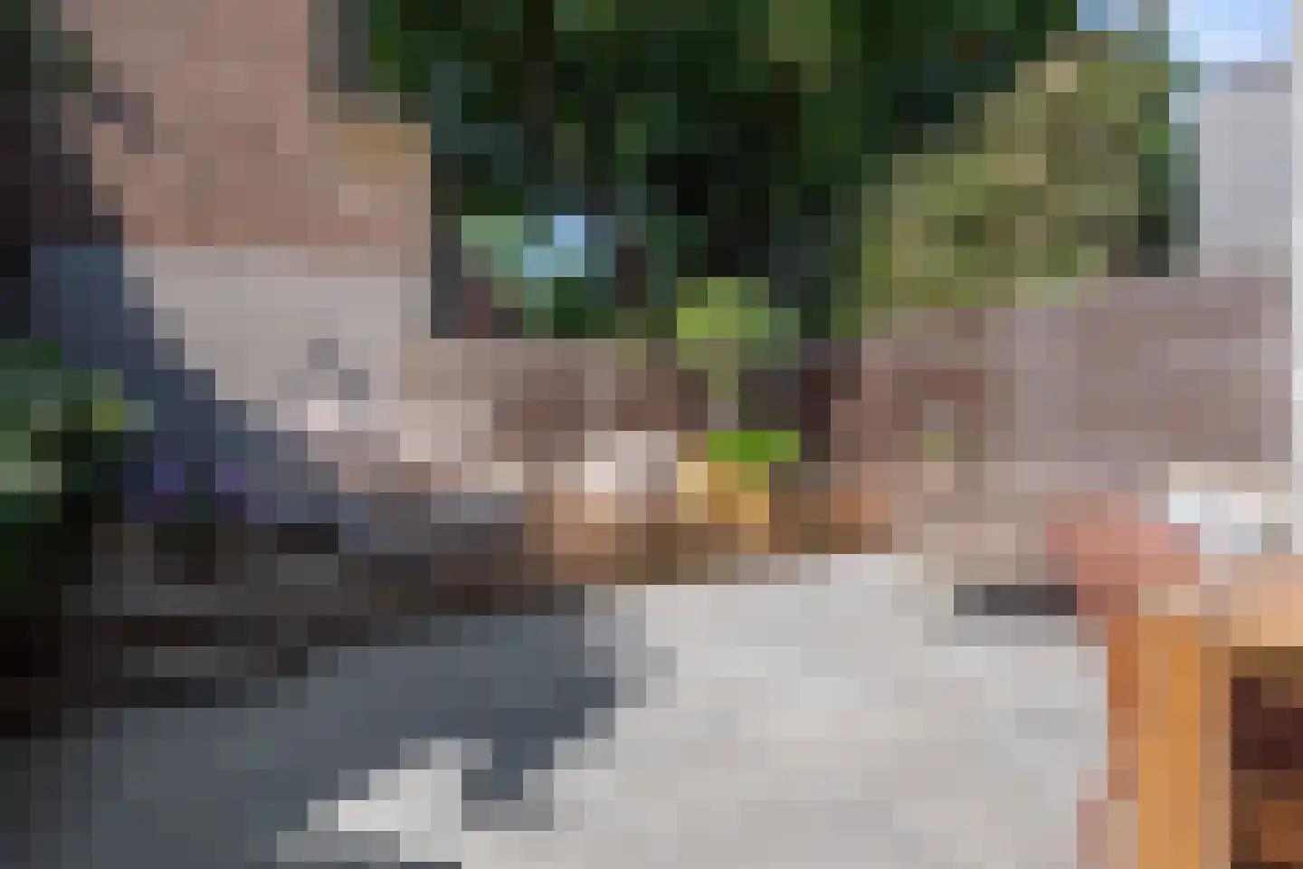 Kruisbroedershof 37 's-Hertogenbosch thumbnail 5