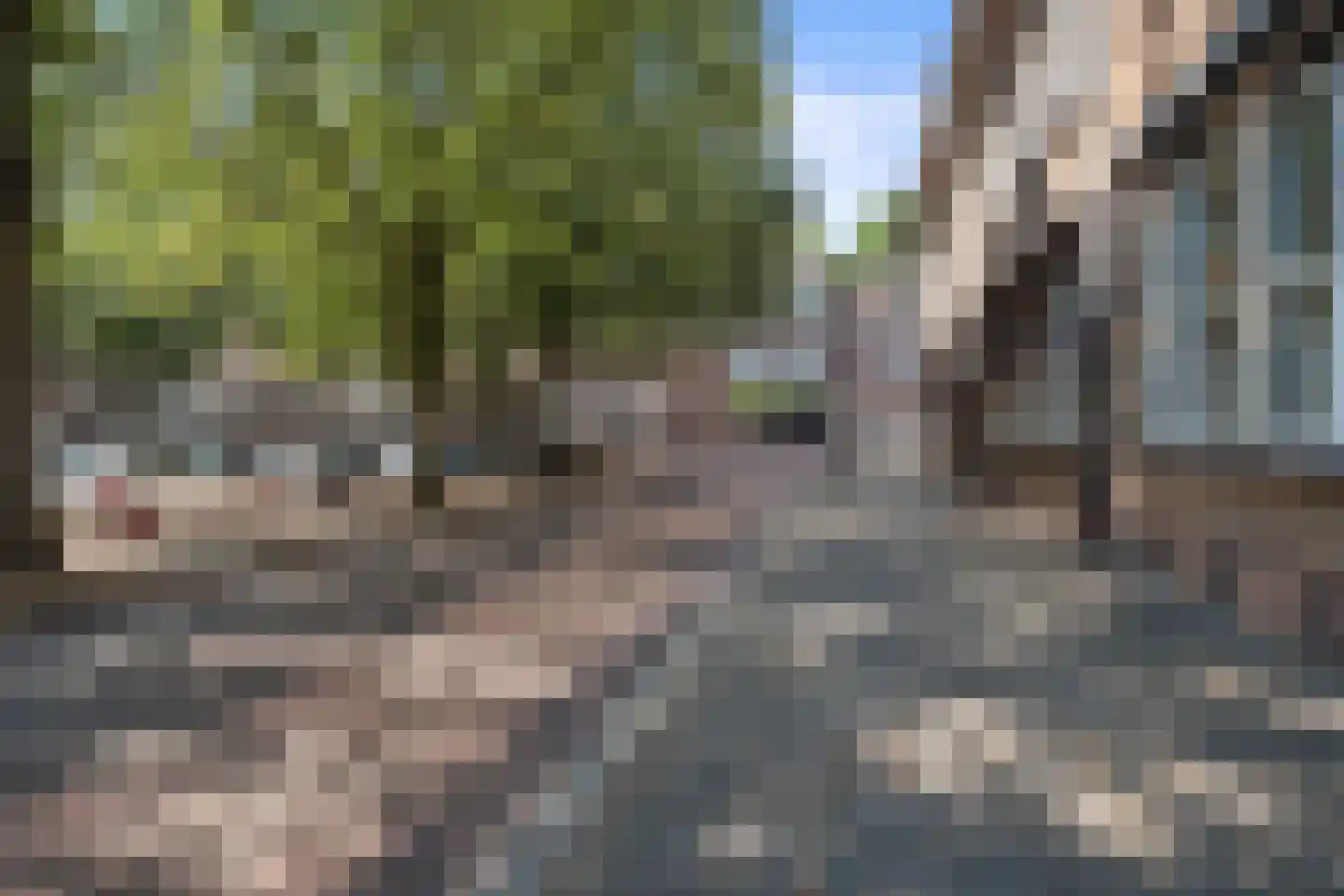 Kruisbroedershof 37 's-Hertogenbosch thumbnail 52