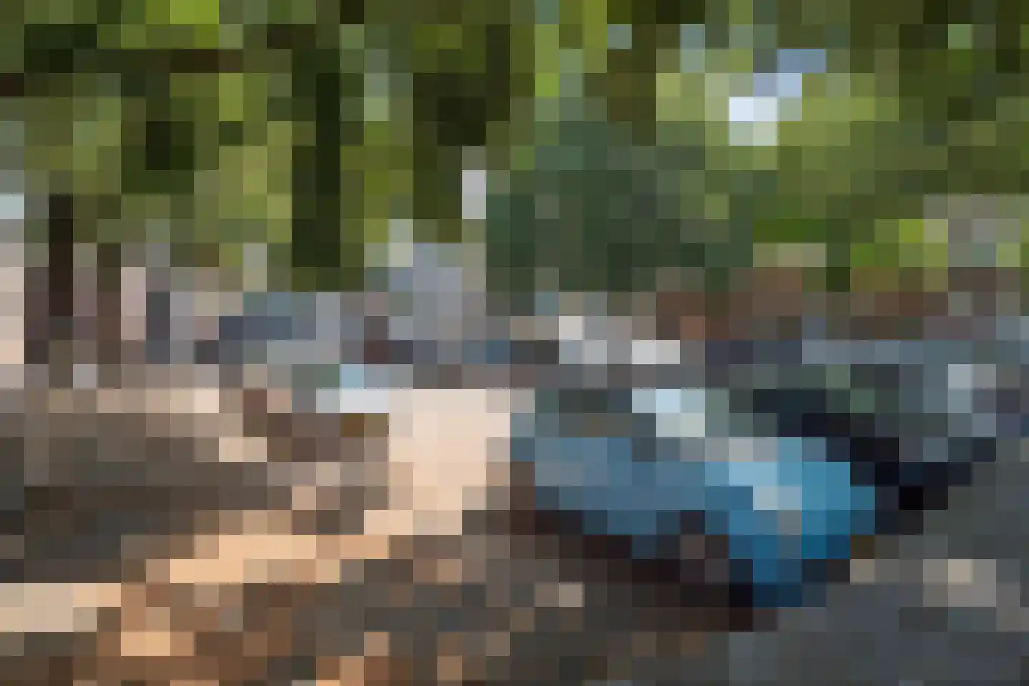 Kruisbroedershof 37 's-Hertogenbosch thumbnail 53