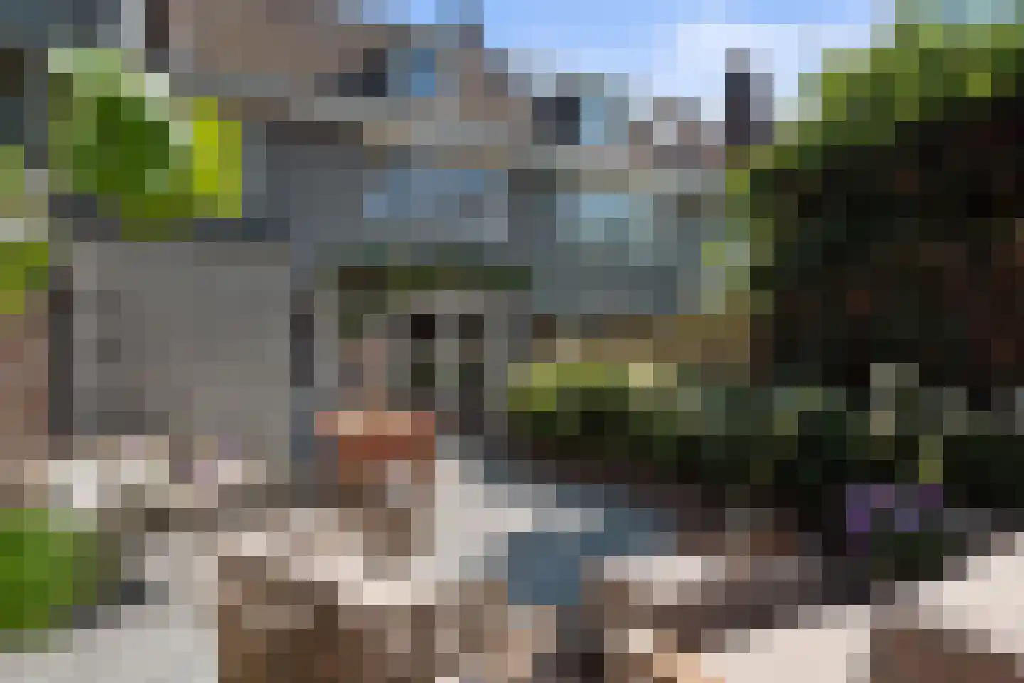 Kruisbroedershof 37 's-Hertogenbosch thumbnail 6