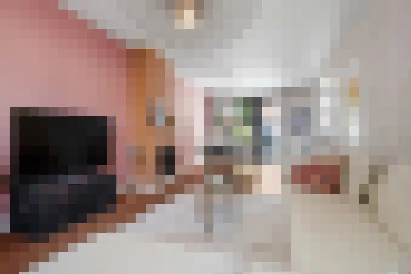 Kruisbroedershof 37 's-Hertogenbosch thumbnail 8