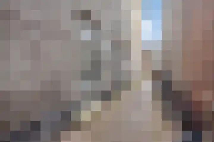 Kruisbroedersstraatje 12 's-Hertogenbosch thumbnail 15