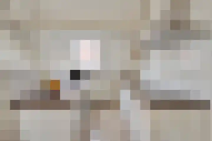 Kruisbroedersstraatje 12 's-Hertogenbosch thumbnail 7