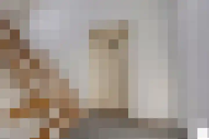 Kruisbroedersstraatje 20 's-Hertogenbosch thumbnail 18