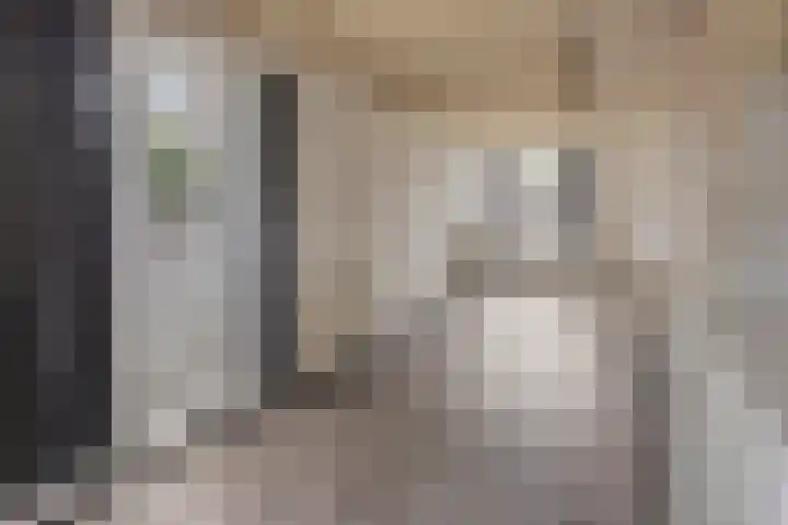 Kruisbroedersstraatje 20 's-Hertogenbosch thumbnail 4