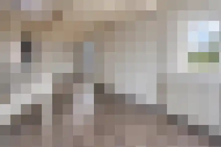 Kruisbroedersstraatje 20 's-Hertogenbosch thumbnail 5