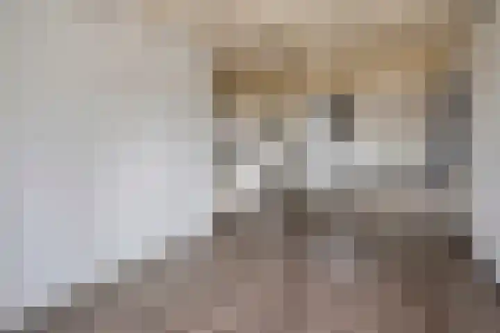 Kruisbroedersstraatje 20 's-Hertogenbosch thumbnail 6