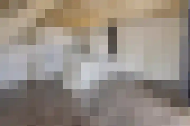 Kruisbroedersstraatje 20 's-Hertogenbosch thumbnail 7