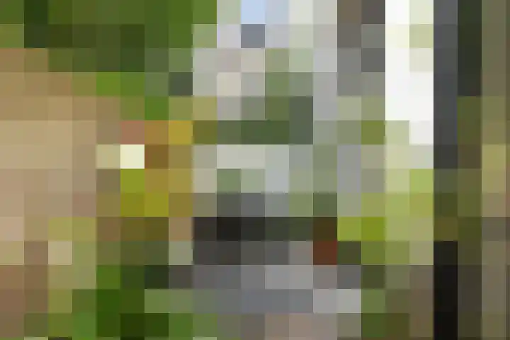 Kruisbroedersstraatje 27 's-Hertogenbosch thumbnail 22