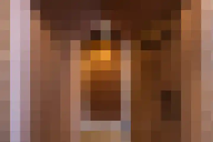 Kruisbroedersstraatje 27 's-Hertogenbosch thumbnail 26