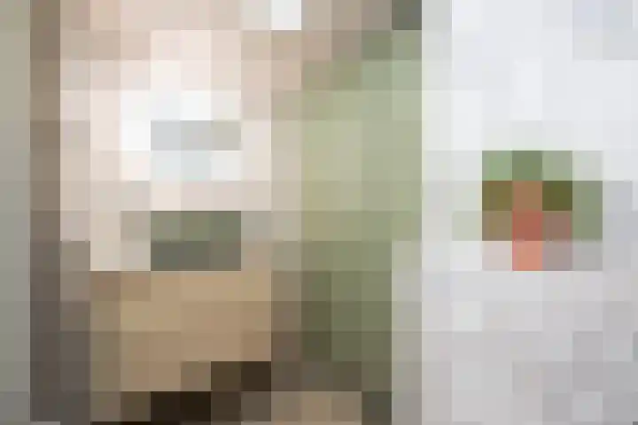 Kruisbroedersstraatje 27 's-Hertogenbosch thumbnail 33