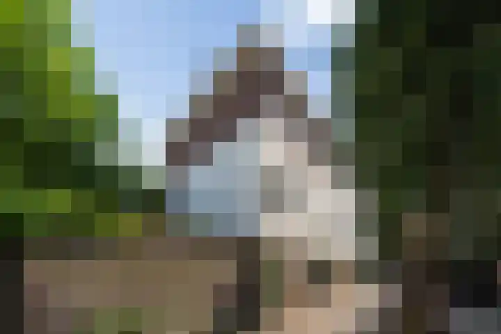 Kruisbroedersstraatje 27 's-Hertogenbosch thumbnail 36