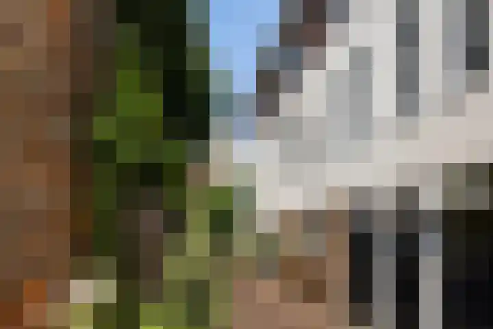 Kruisbroedersstraatje 27 's-Hertogenbosch thumbnail 37