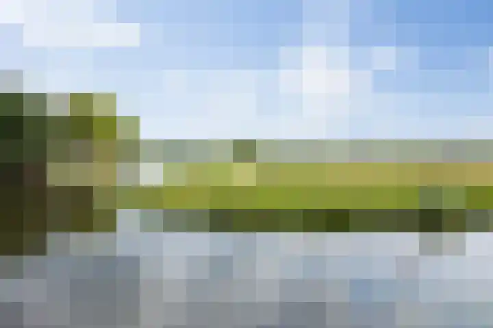 Kruisbroedersstraatje 27 's-Hertogenbosch thumbnail 41