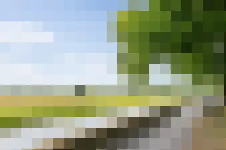 Kruisbroedersstraatje 27 's-Hertogenbosch thumbnail 42