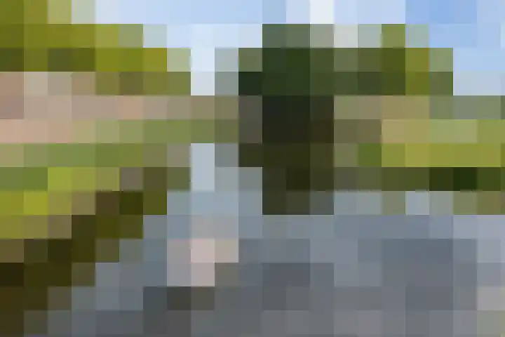 Kruisbroedersstraatje 27 's-Hertogenbosch thumbnail 43