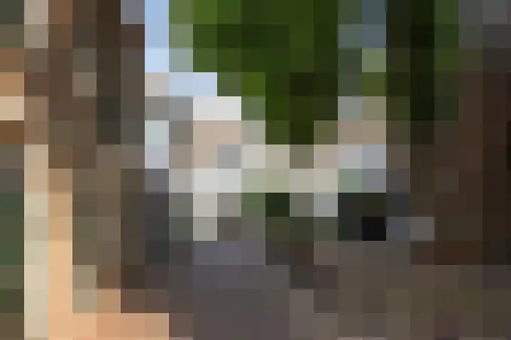 Kruisbroedersstraatje 27 's-Hertogenbosch thumbnail 45
