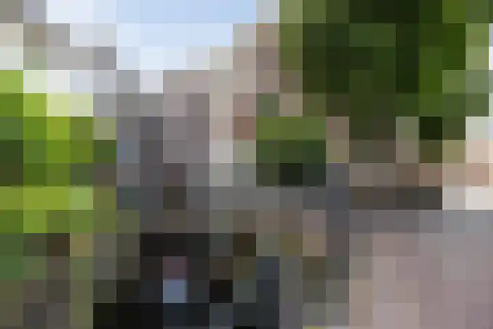 Kruisbroedersstraatje 27 's-Hertogenbosch thumbnail 47