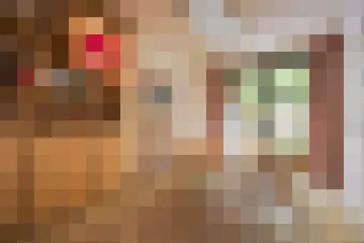 Kruisbroedersstraatje 27 's-Hertogenbosch thumbnail 6