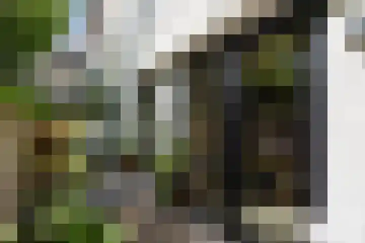 Kruisbroedersstraatje 27 's-Hertogenbosch thumbnail 8
