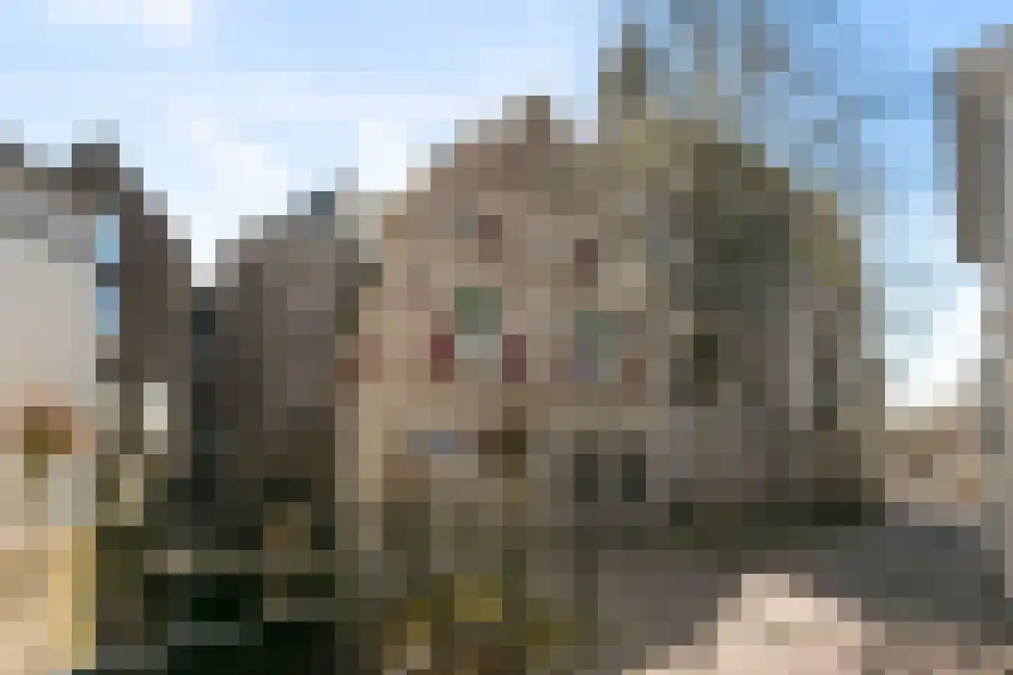 Kruisbroedersstraatje 4 's-Hertogenbosch thumbnail 22