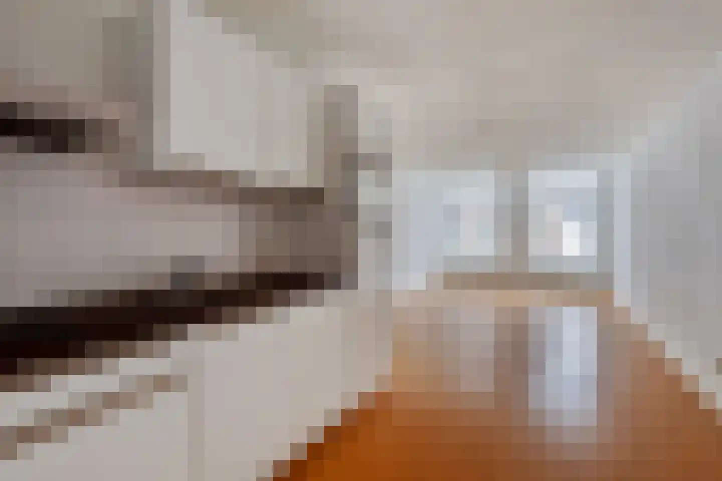 Kruisbroedersstraatje 4 's-Hertogenbosch thumbnail 9
