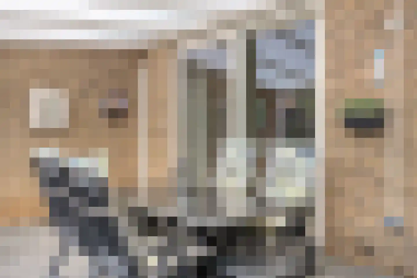 Kruisbroedersweg 13 Roermond thumbnail 32