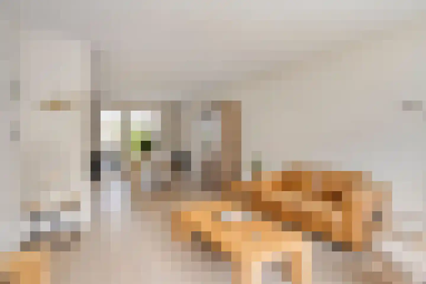 Kruisbroedersweg 13 Roermond thumbnail 5