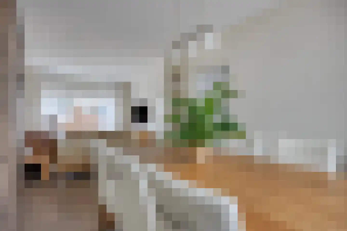 Kruisbroedersweg 13 Roermond thumbnail 8