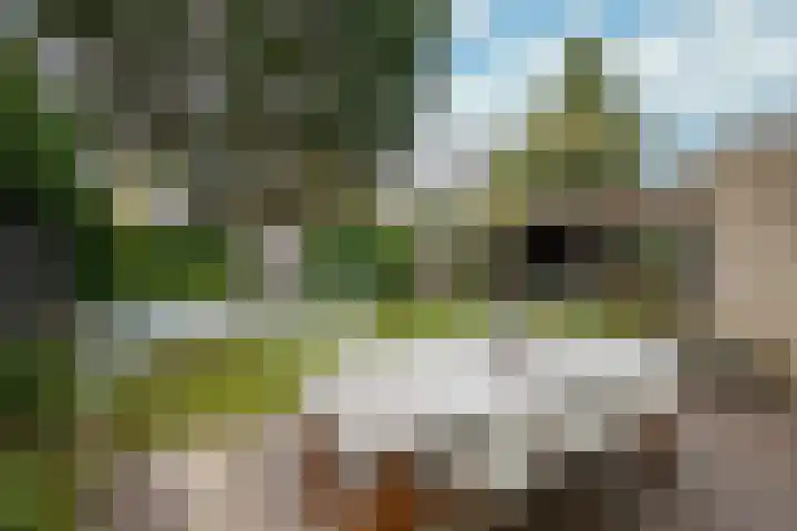 Kruisbroedersweg 25 Roermond thumbnail 24
