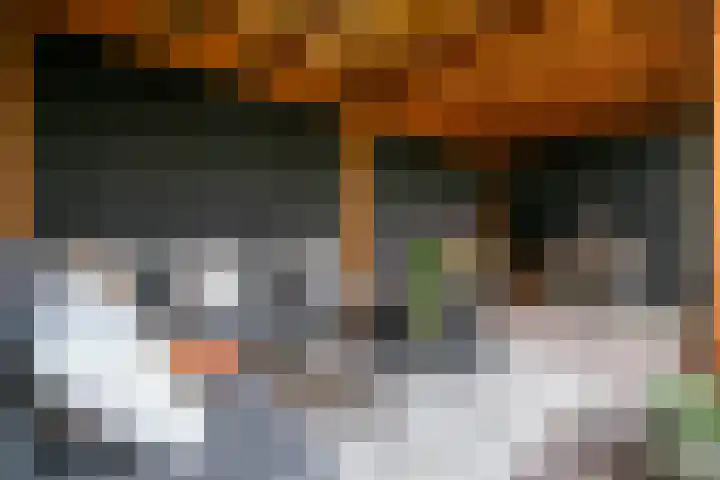 Kruisbroedersweg 25 Roermond thumbnail 27