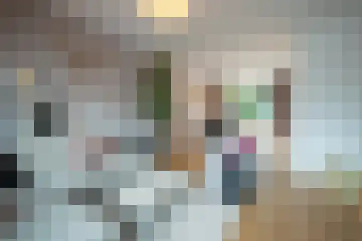 Kruisbroedersweg 25 Roermond thumbnail 4