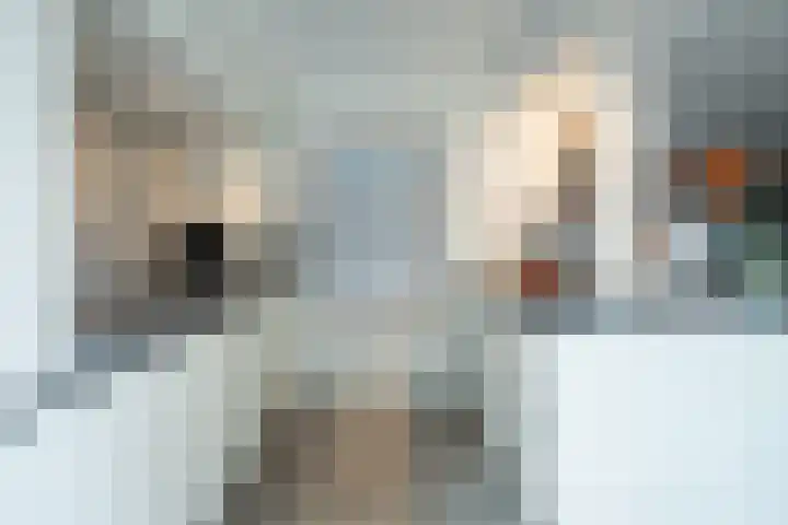 Kruisbroedersweg 25 Roermond thumbnail 9