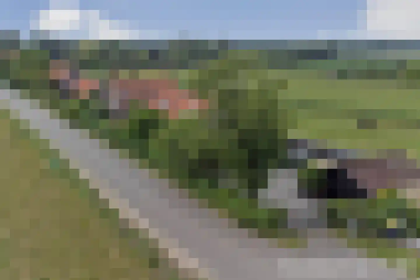 Kruisdijk 2 Strijen