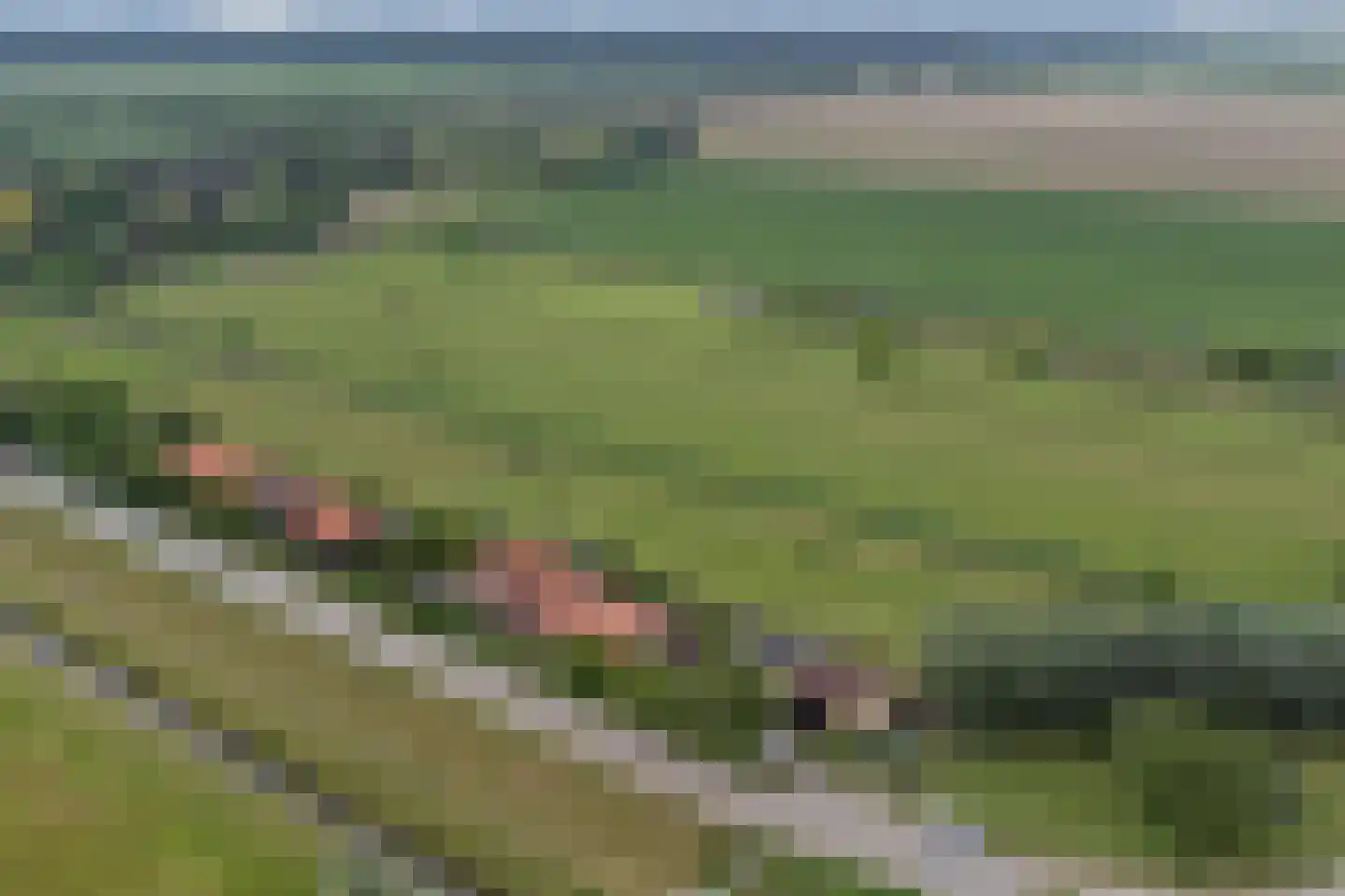 Kruisdijk 2 Strijen