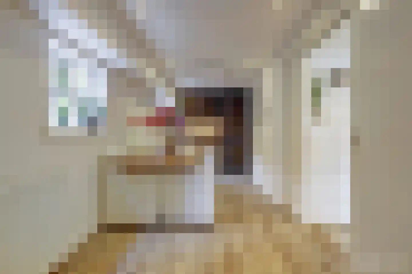 Kruisdijk 2 Strijen thumbnail 10