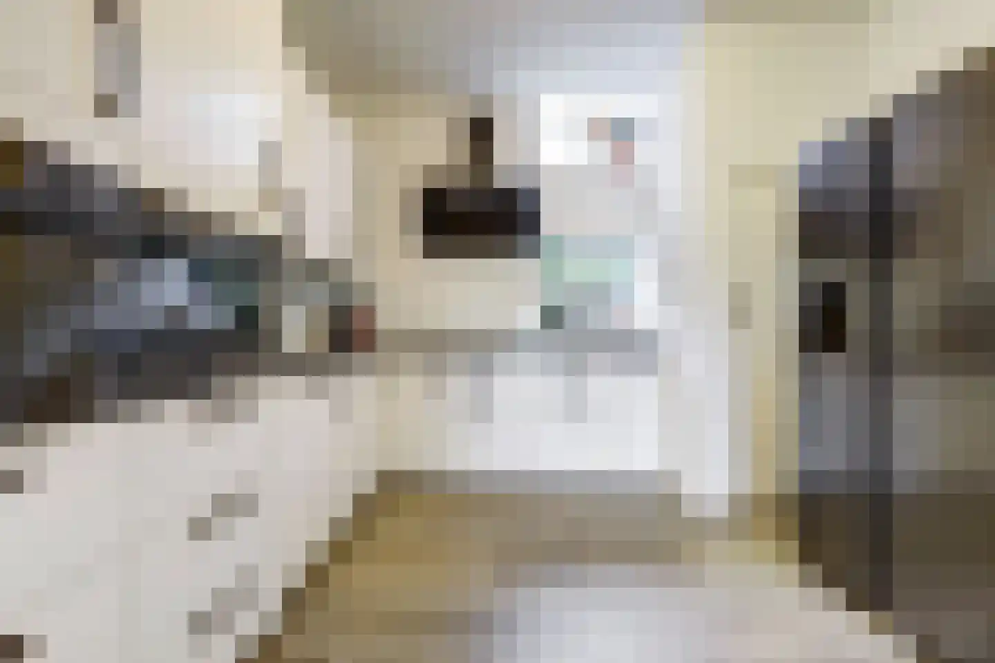 Kruisdijk 2 Strijen thumbnail 23