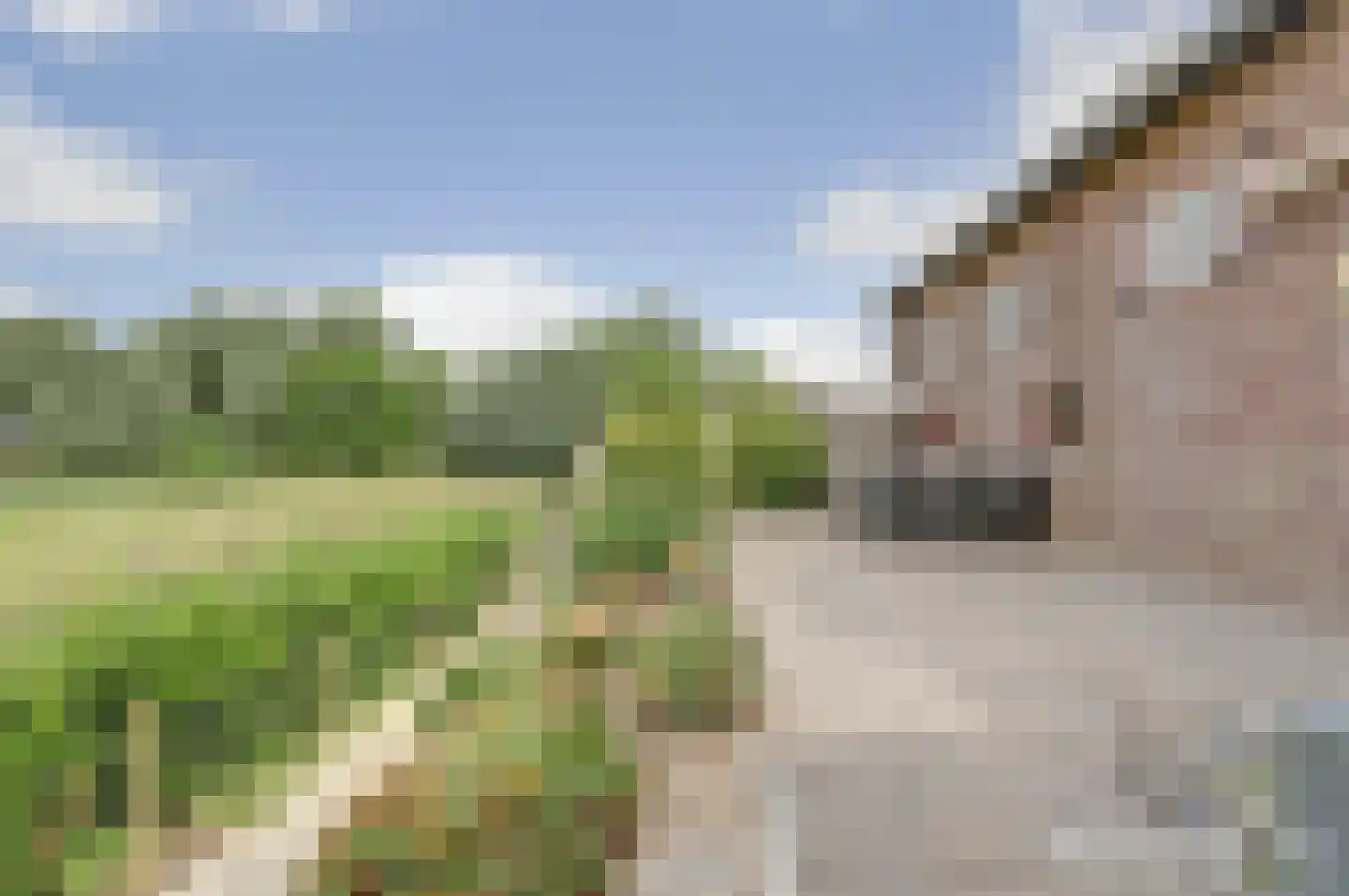Kruisdijk 2 Strijen thumbnail 37