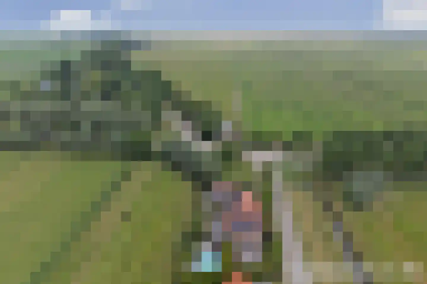 Kruisdijk 2 Strijen thumbnail 4