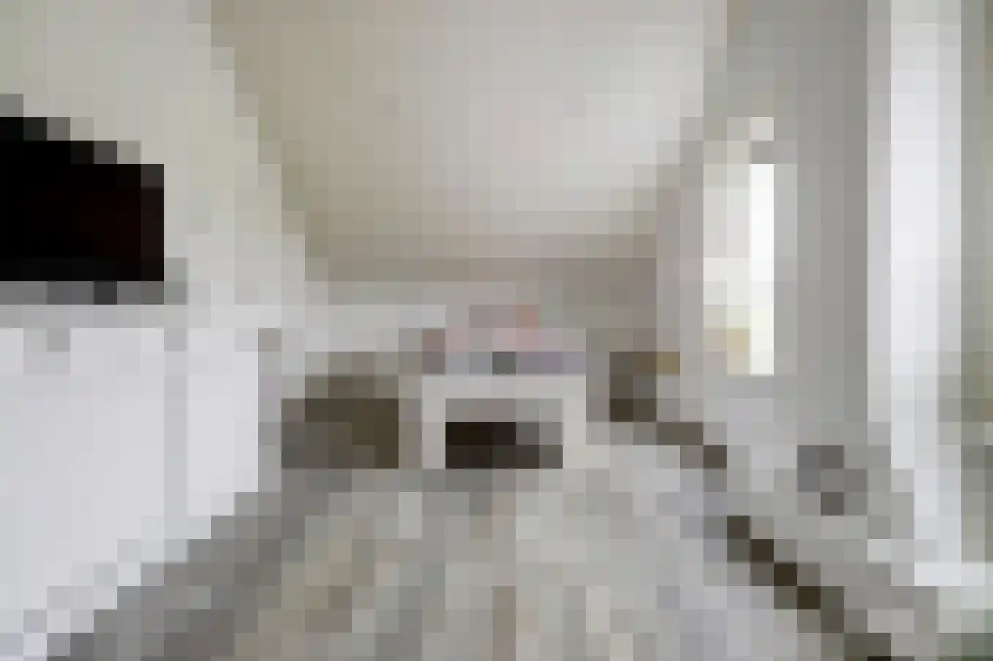 Kruisdijk 2 Strijen thumbnail 53