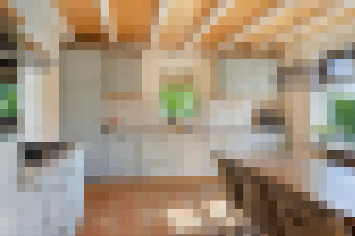Kruisdijk 7 Aalten thumbnail 12