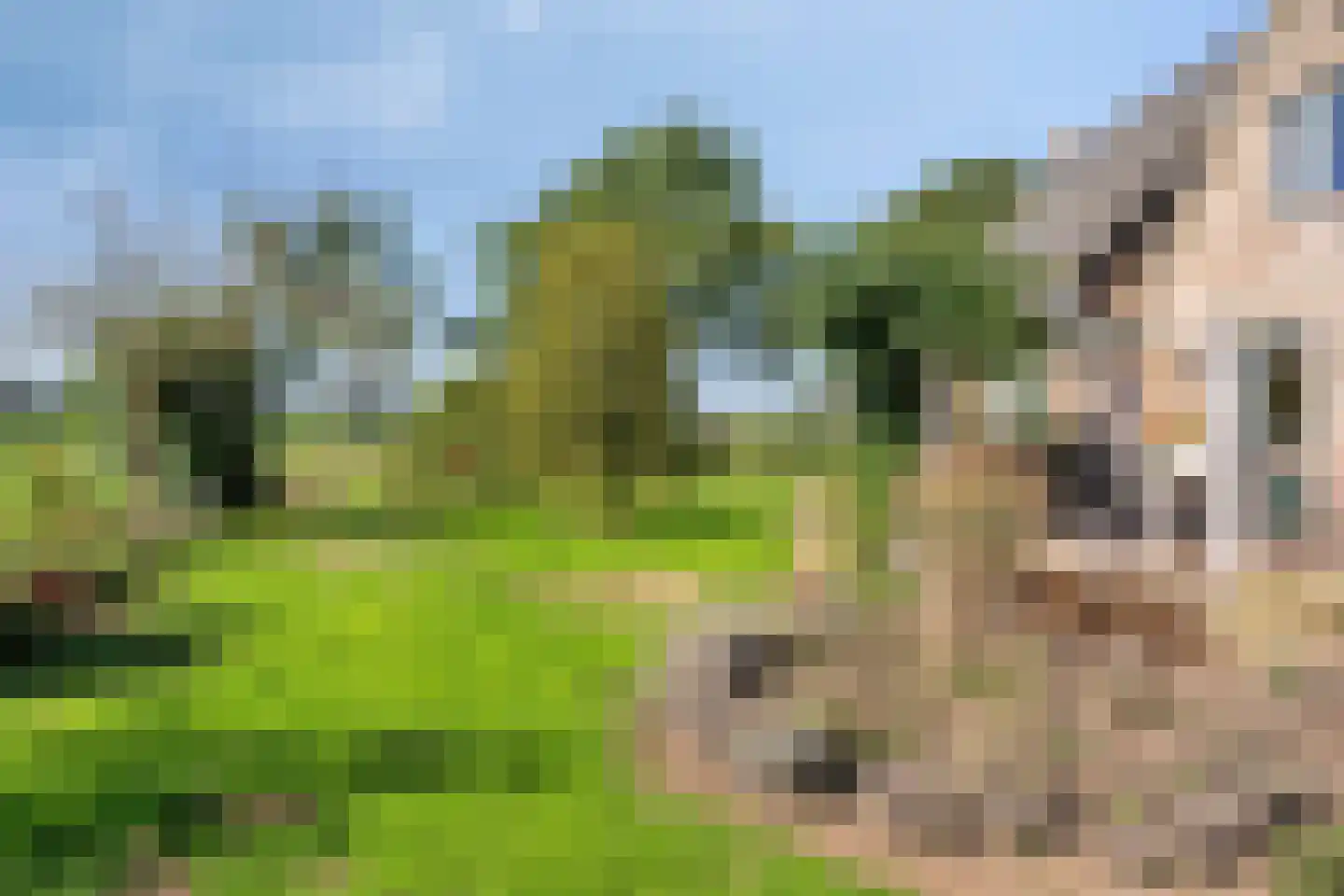 Kruisdijk 7 Aalten thumbnail 35