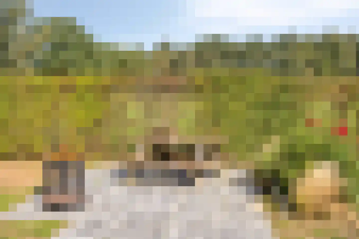 Kruisdijk 7 Aalten thumbnail 36