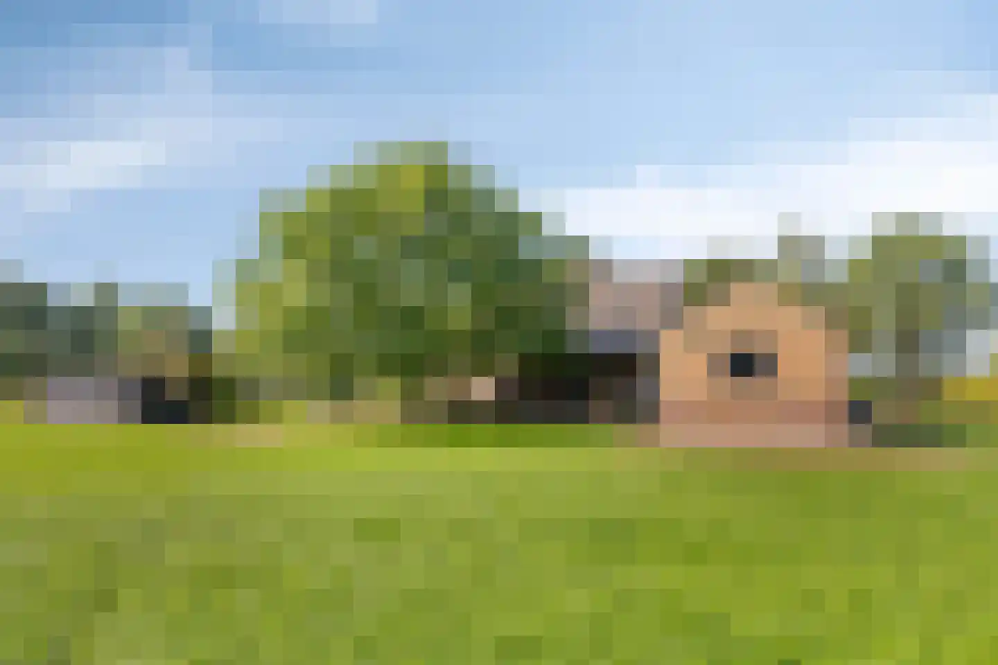 Kruisdijk 7 Aalten thumbnail 41