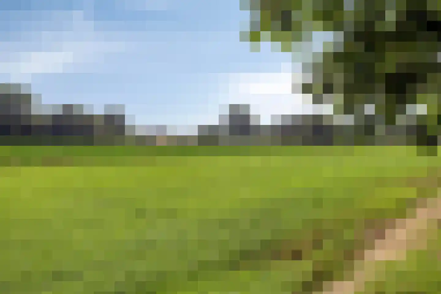 Kruisdijk 7 Aalten thumbnail 43