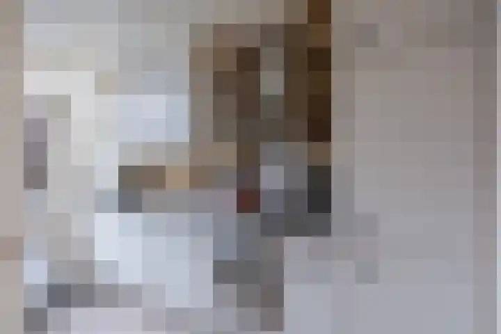 Kruisdistel 24 Cuijk thumbnail 10