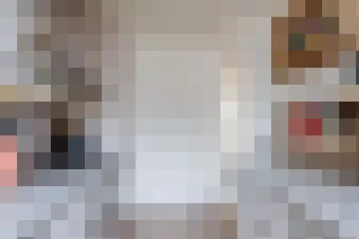 Kruisdistel 24 Cuijk thumbnail 12